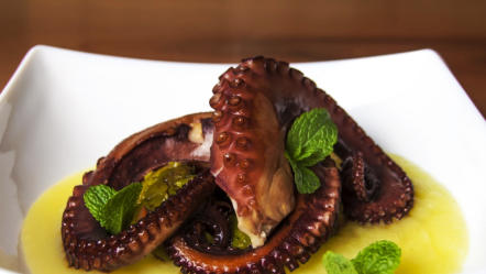 Frisch zubereiteter Octopus 